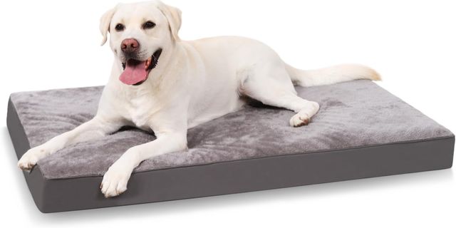 Imagen de la oferta: KSIIA Camas Perro Ortopédica Grande, 90x55cm, Cama para Perros L, Colchon Cojín Colchoneta Perro Desenfundable, Cama Mascota Lavable a Máquina Relleno Grueso Fondo Antideslizante Dog Bed, Gris Oscuro