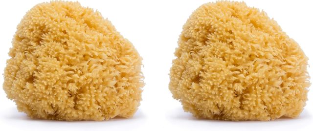 Imagen de la oferta: Suavinex - Esponja Natural del Mar para bebé. tamaño grande. Esponja de bebé 100% Natural (Paquete de 2)